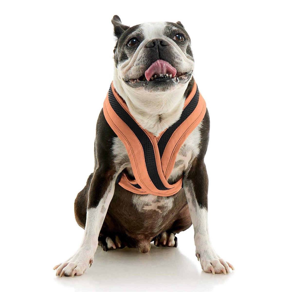 Dog Harness A1485