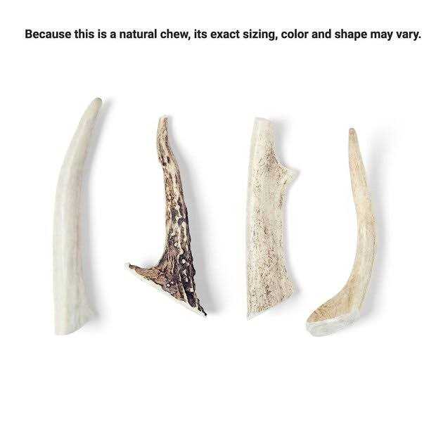 Deer Antler Dog Chew A166177