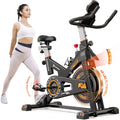 Magnetic Resistance Indoor Cycling Bike E863