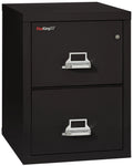 Black 2 Drawer Fire Resistant Legal File Cabinet Z585262