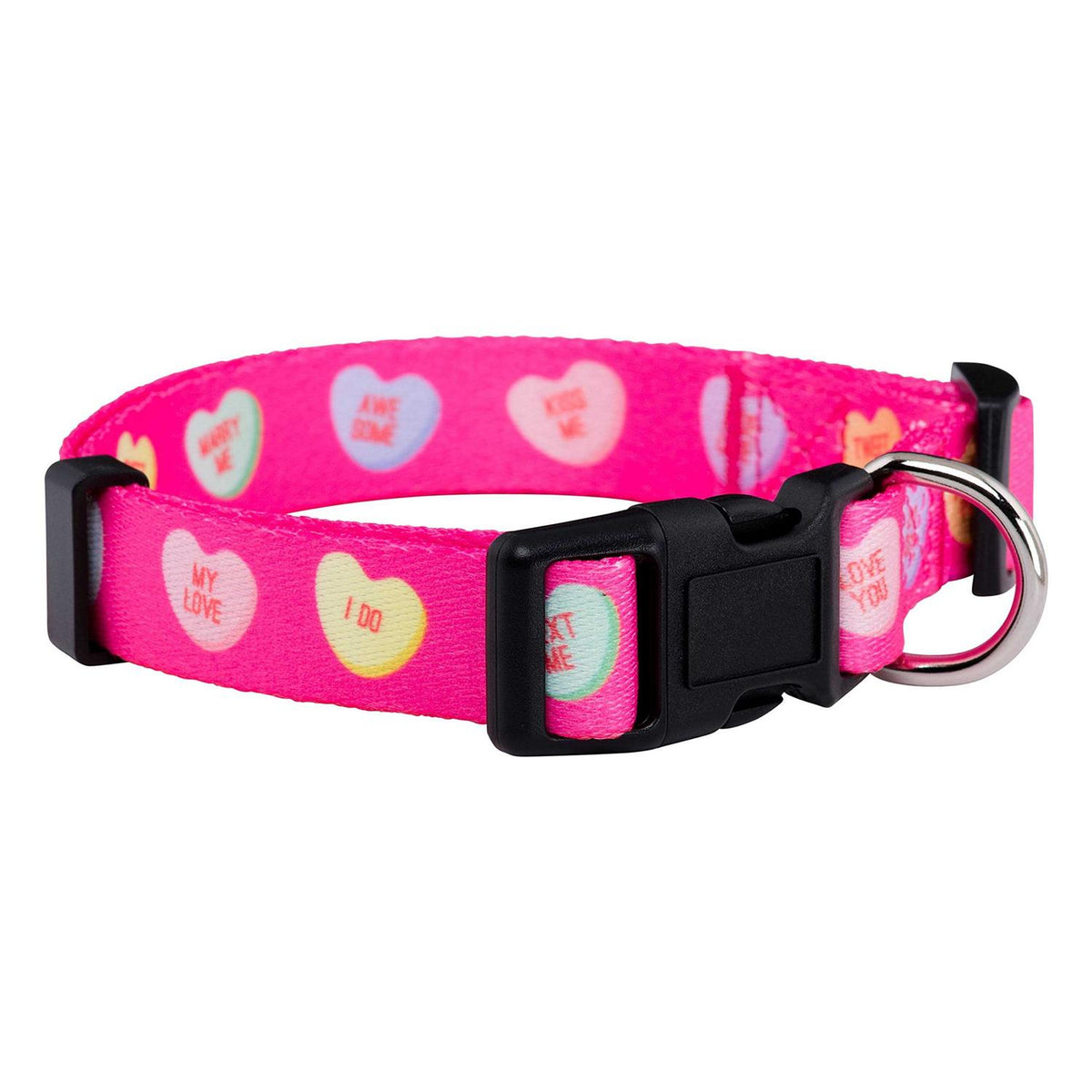 Valentines Day Heart Dog Collar B217