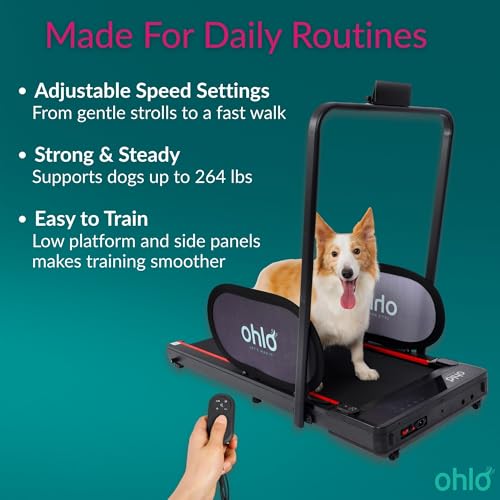 Portable Pet Treadmill with Wheels & Remote Control C294483