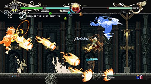 Record of Lodoss War: Deedlit in Wonder Labyrinth R6367