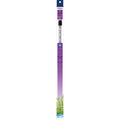 Blue LED Lamp Z7442