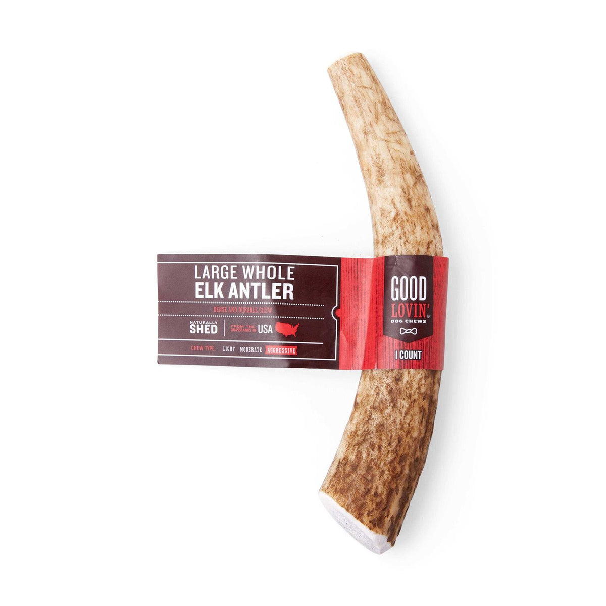 Large Whole Elk Antler Dog Chew X561