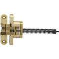 Invisible Hinge Alloy Steel Satin Brass P21782