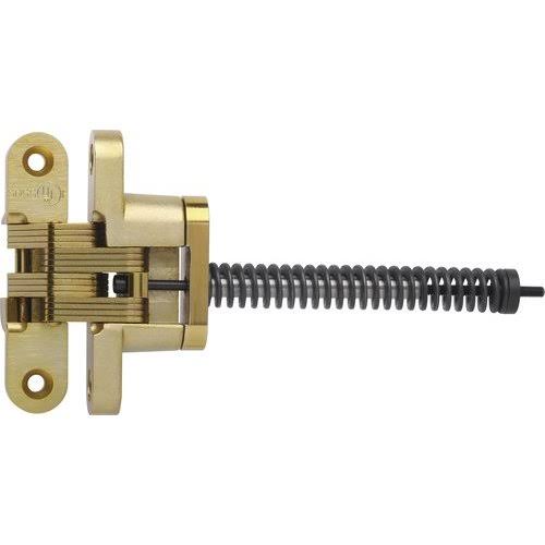 Invisible Hinge Alloy Steel Satin Brass P21782