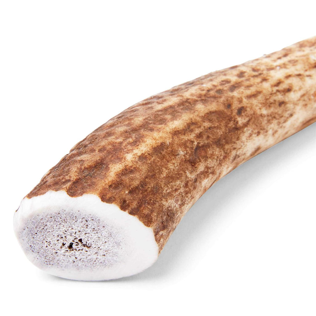 Large Whole Elk Antler Dog Chew X561