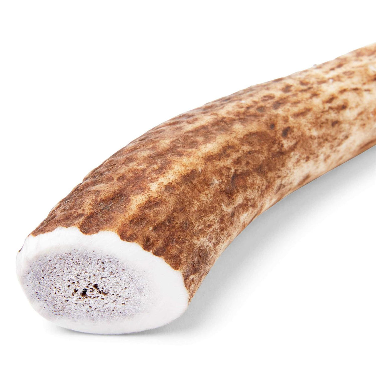 Large Whole Elk Antler Dog Chew X561
