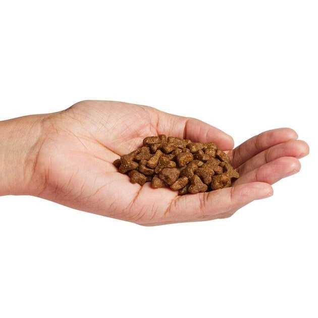 Natural Cat Food X442