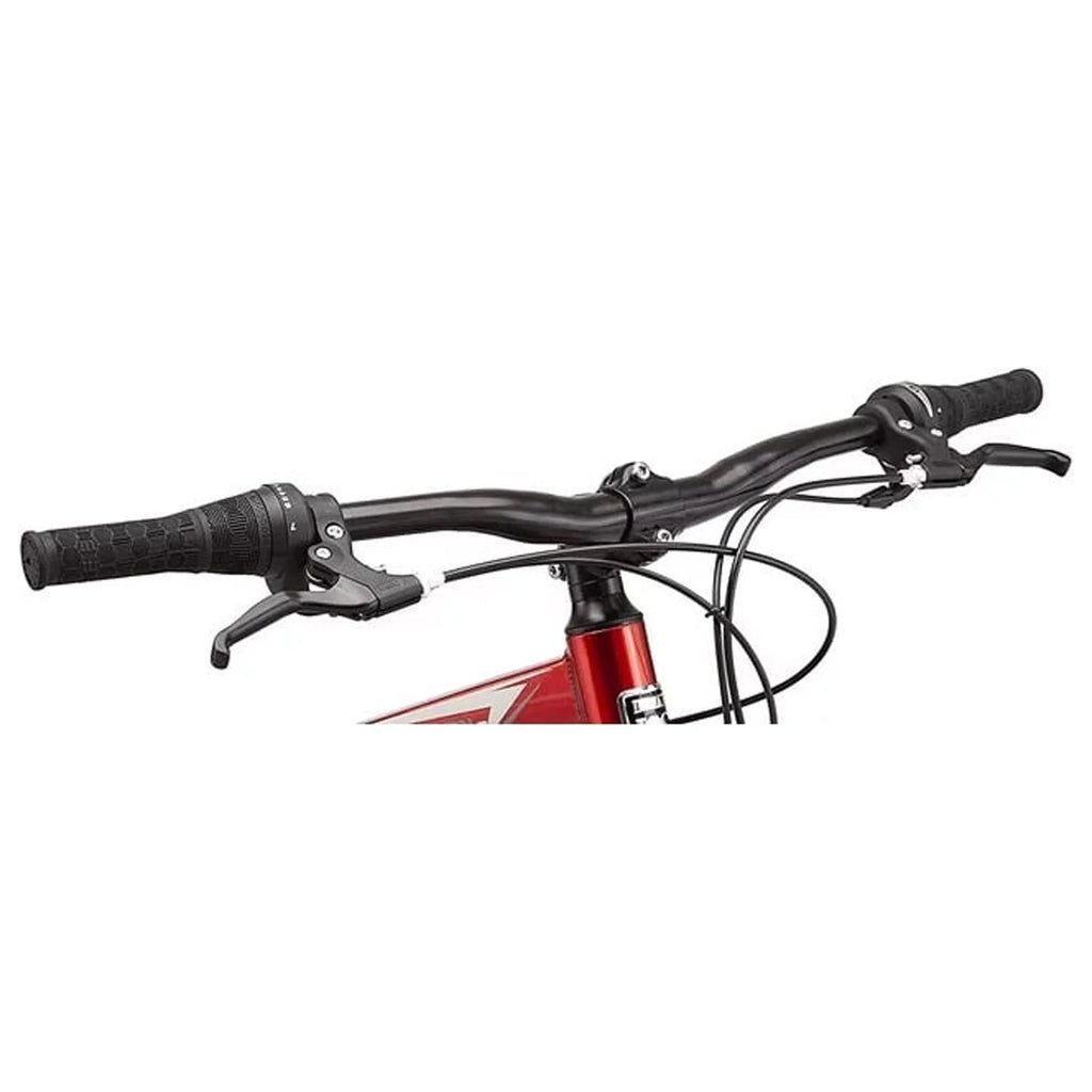 21 Speeds Adult Mountain Bike U649708