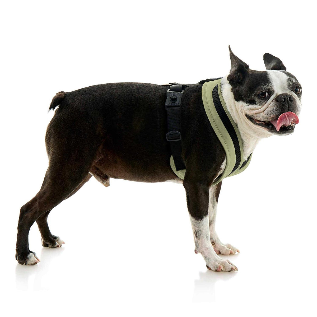 Dog Harness A1485