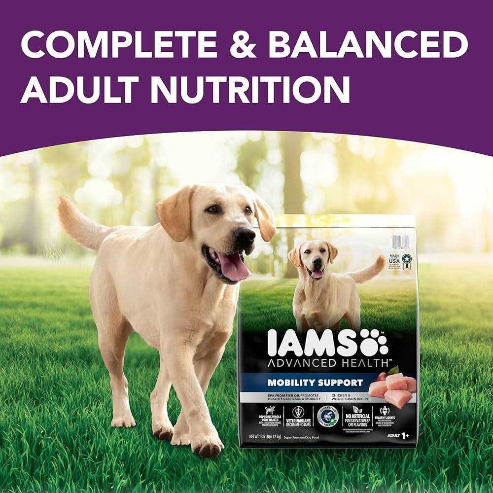 Chicken & Whole Grain Recipe Adult Dry Dog Food W36946