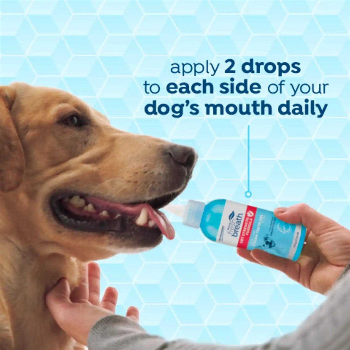 Fresh Breath Oral Care Clean Teeth Gel D4410