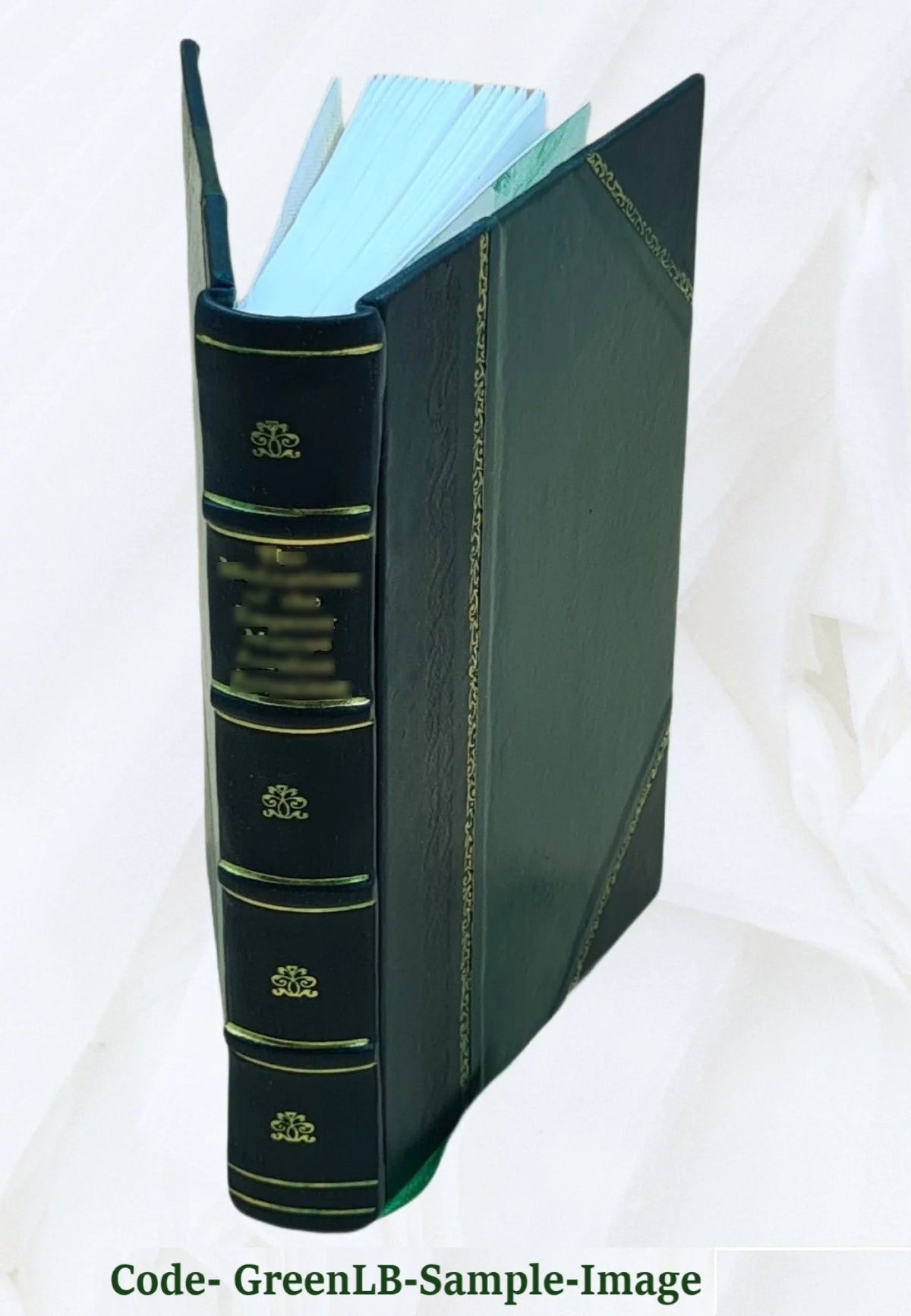 Leather Bound Book B97435