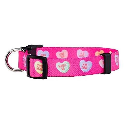 Valentines Day Heart Dog Collar B217