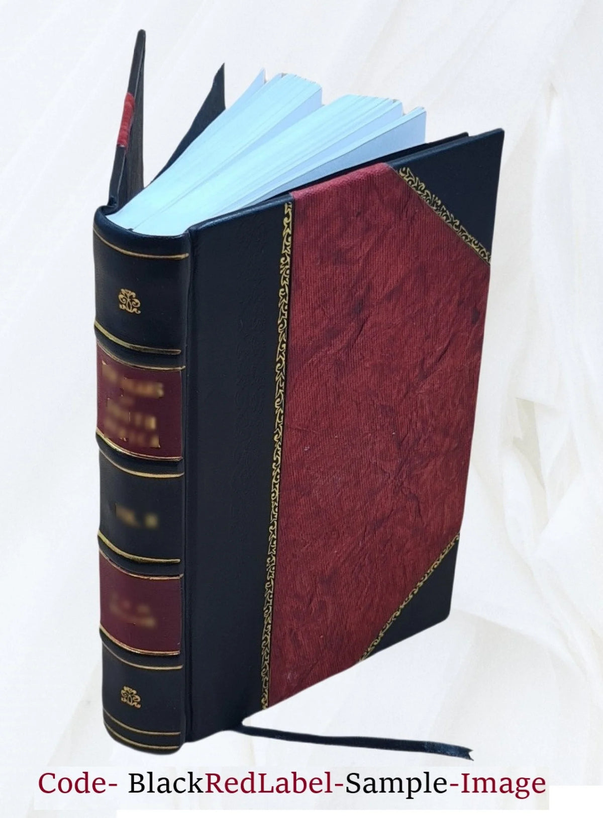 Leather Bound Book B97435