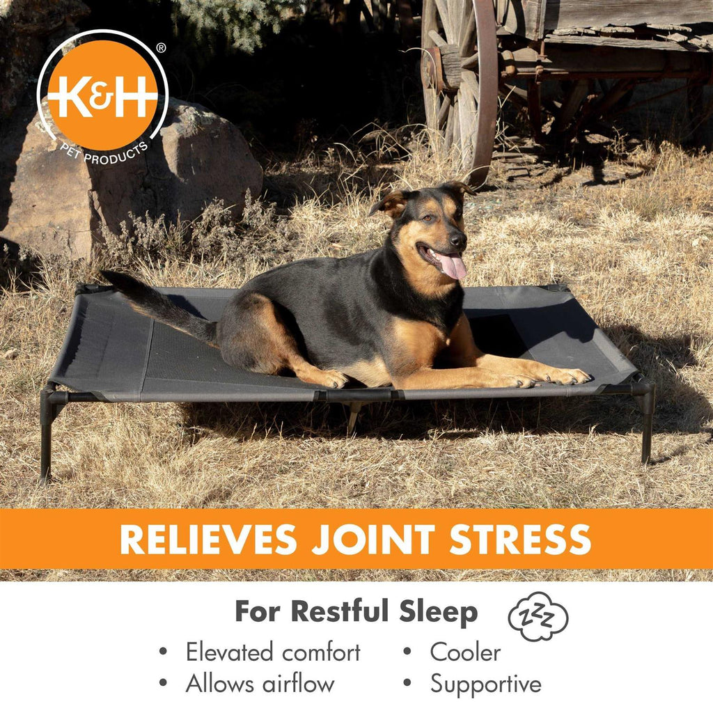 Realtree Pet Cot P7613