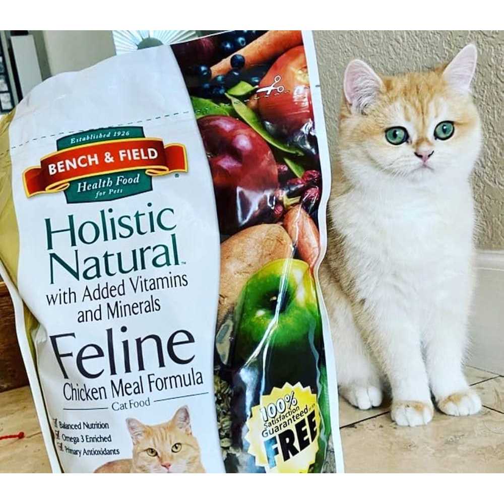 Natural Cat Food X442